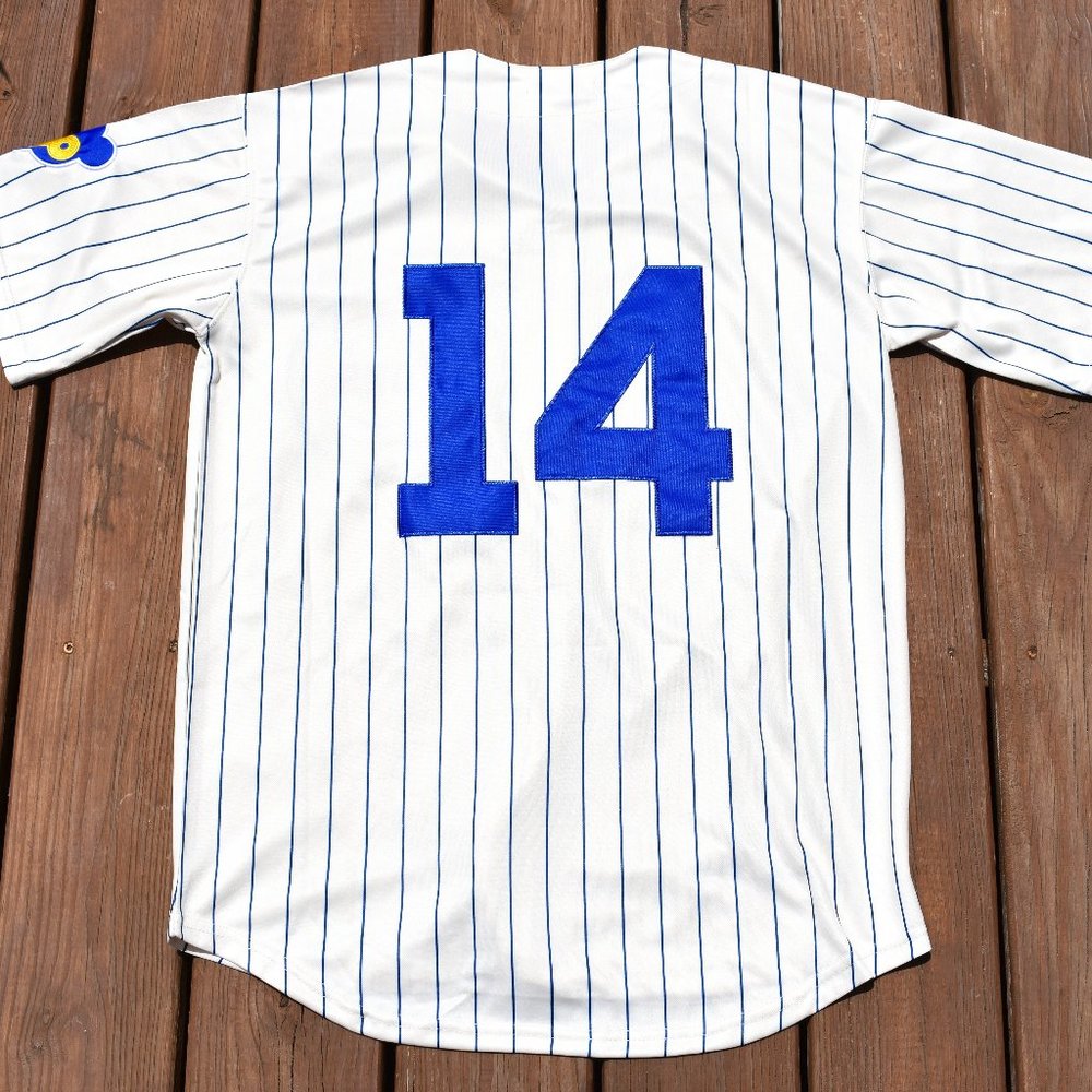 New! Ernie Banks Chicago Cubs Cream Pinstripe Baseball Jersey Adult Men's Sizes